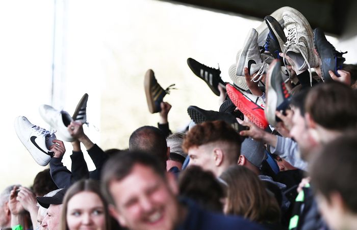 Φόρεστ Γκριν άνοδος