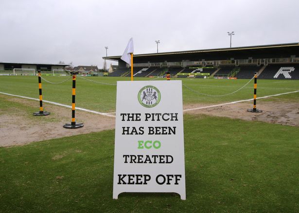 Χλοοτάπητας Φόρεστ Γκριν